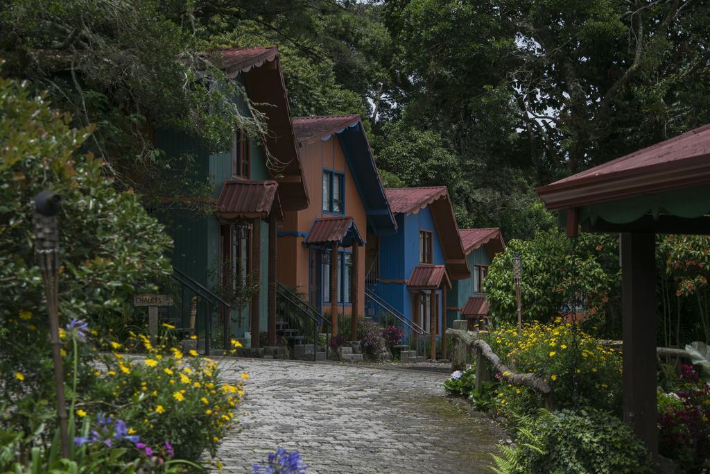 Hotel Chalet Tirol 埃雷迪亚 外观 照片