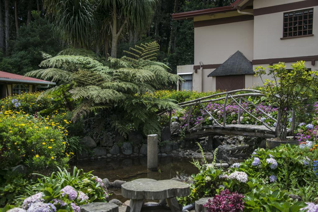 Hotel Chalet Tirol 埃雷迪亚 外观 照片
