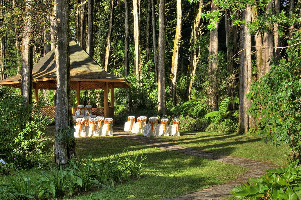Hotel Chalet Tirol 埃雷迪亚 外观 照片